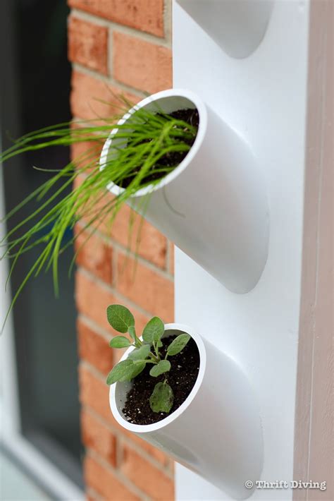 Planting In Pvc Pipes