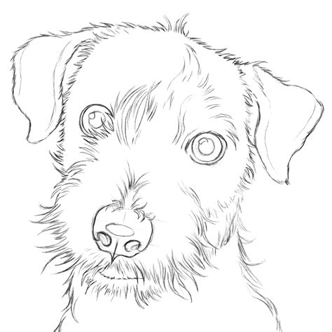 Check spelling or type a new query. 6.3.A2 Isaac the Jack Russell - Drawspace