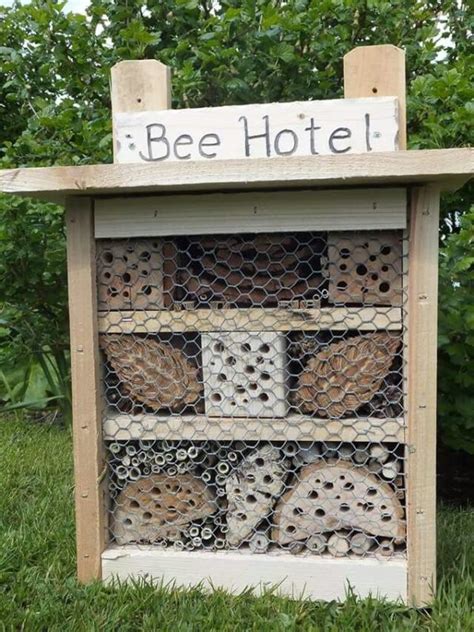 Build A Solitary Bee Hotel In The Cove