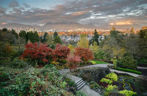 Fall Foliage Expected To Be Extra Colourful In Vancouver This Year