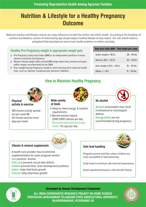 (PDF) Nutrition & Lifestyle for a Healthy Pregnancy Outcome