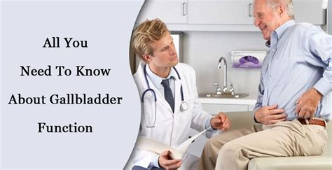 All You Need To Know About Gallbladder Function Ideal Magazine