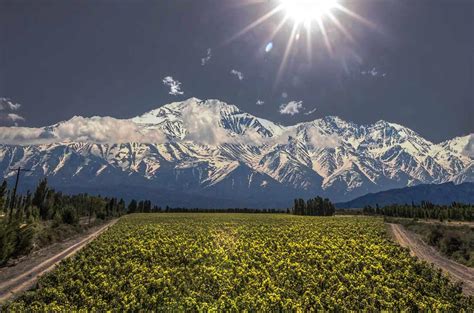 Tasting Catena's Flagship wines - Decanter