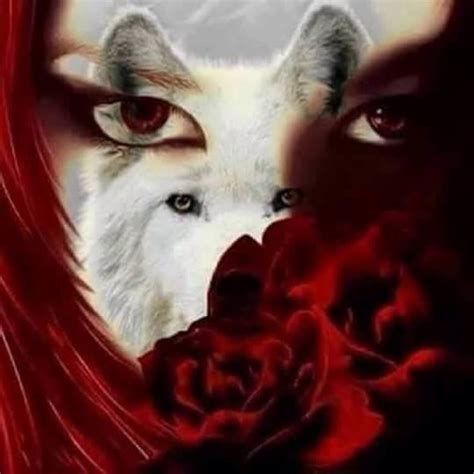 White Wolf And Red Roses Wolves And Women Wolf Art Fantasy Wolf Love