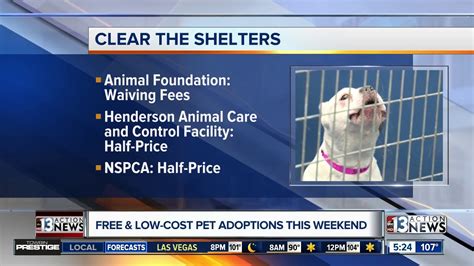 Free Low Cost Adoptions In Las Vegas Valley On Saturday Youtube