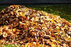 Tidy up the border and return escaped gravel to the area using a lawn rake or broom. Easily Mulching Leaves Without a Blower Vac