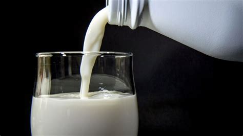 Australia To Cash In On China Milk Boom Bbc News