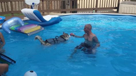 Dec 25, 2020 · here are some steps to help you build a dog ramp for your above ground pool: Milo goes for a swim! Siberian husky puppy swimming. Puppy swimming. Dog life jacket. DIY pool ...