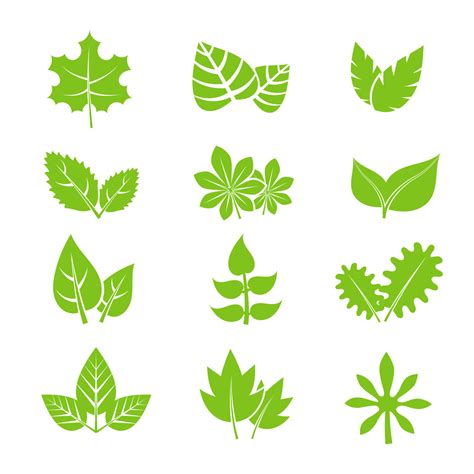 Green Leaves Vector Icons Set By Microvector Thehungryjpeg
