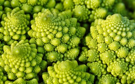Rare And Unseen Vegetables Romanesco Infy World