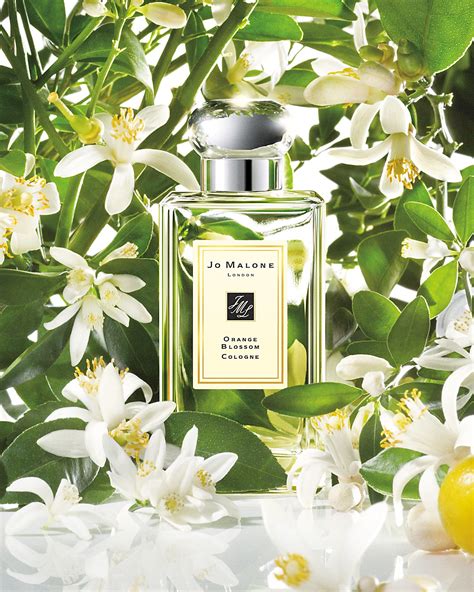 Orange Blossom Jo Malone London Perfume A Fragrance For Women And Men