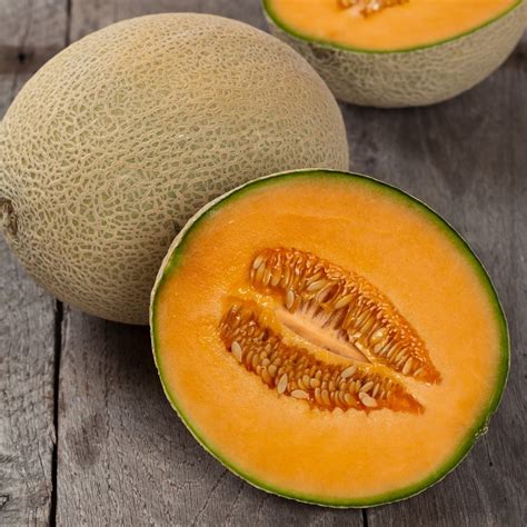 Melon Cantaloupe Hales Best Jumbo Premier Seeds Direct