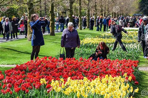 Famous Flower Park Keukenhof In Lisse Netherlands Editorial Stock