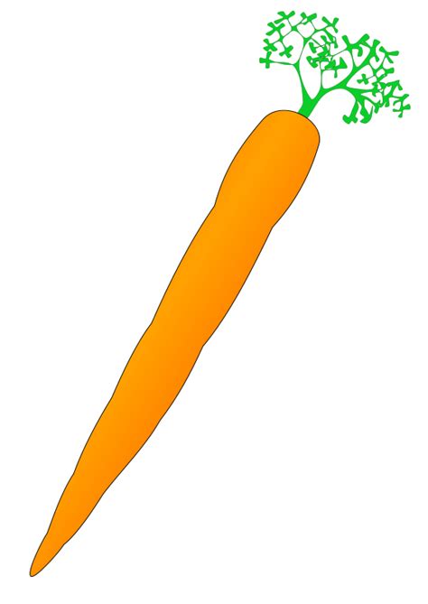 Nose clipart carrot, Nose carrot Transparent FREE for ...