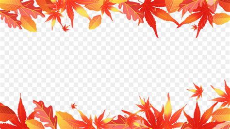 Autumn Maple Leaves Png Image Autumn Leaves Maple Leaf Border Red And