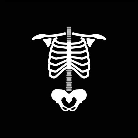 Chest Rib Vector Skeleton Heart Bone Illustration Ray Xray