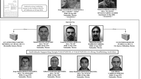 Sinaloa Drug Cartel Organizational Chart