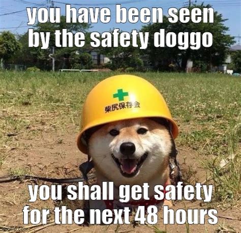 The Safety Doggo Has Spotted You Rmemes