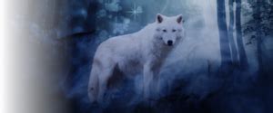 Sneak Peek of Dire Wolf Wanted - Carol Van Natta - Author