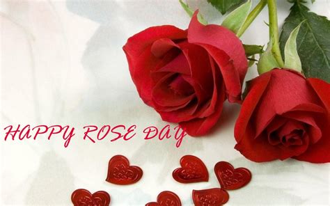 Rose Day Wishes Sms Status Quotes Messages