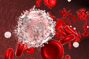 Blood Cancer In A Nutshell Classification And Investigation On Medicine