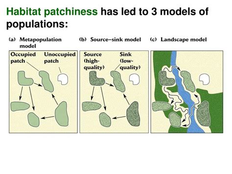 Ppt Landscape Ecology Large Scale Spatial Patterns And Ecological