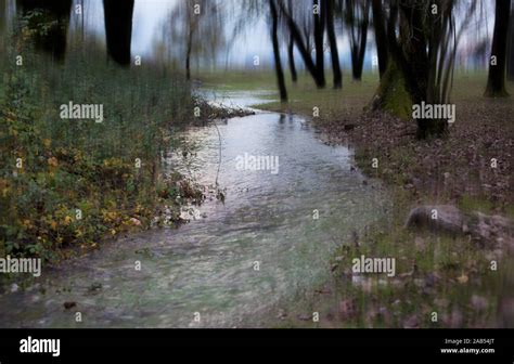 The River Runs Through The Forest Blurred Background Stock Photo Alamy