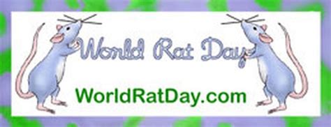 April 4th Is World Rat Day