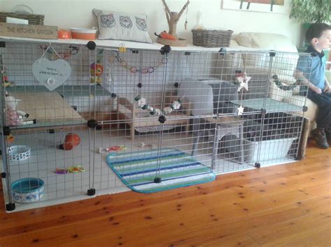 Best Setup For An Indoor Rabbit Rabbits United Forum Indoor Rabbit