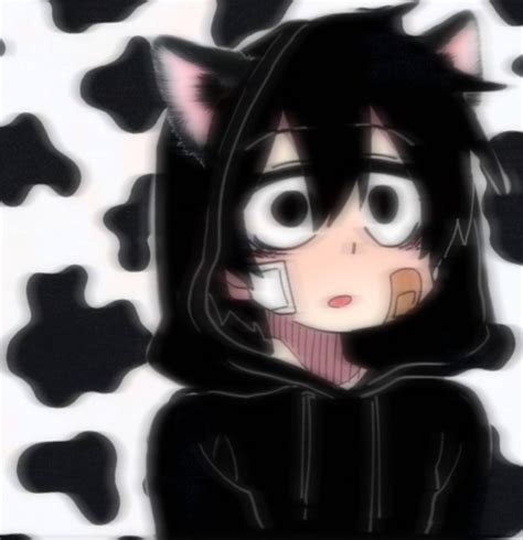 Anime Pfp Cat Boy Anime