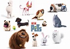 Characters On Secret Life Of Pets - Pets Retro