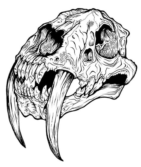 Sabertooth Tiger Skull Animal Skull Tattoos Animal Skull Drawing
