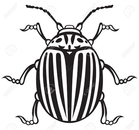 Clipart Bugs Black And White 20 Free Cliparts Download Images On