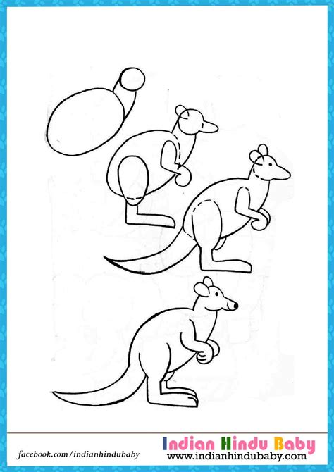 Kangaroo Cartoon Drawing Easy