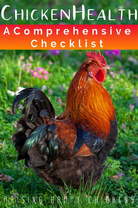 A Monthly Health Check Sheet To Ensure Your Chickens Welfare
