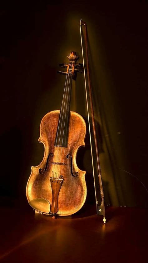 Guitaar Cool Violins Violin Image Violin