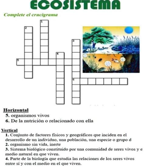Solved Complete El Crucigrama Ayúdenme Plis Ecosistema Complete El