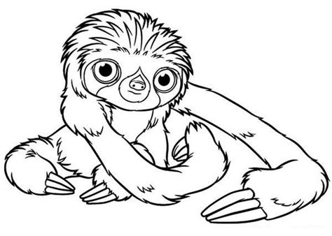 Choose your favorite coloring page and color it in bright colors. Baby Sloth Coloring Page | Color Luna