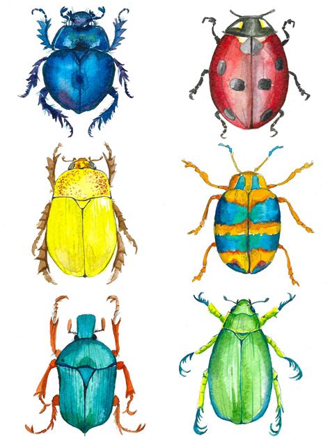 Watercolor Bugs Collection Insect Art Projects Nature Sketch Bugs