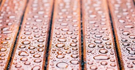 Explore these helpful articles below and get started on your staining project today. Oil vs Water Based Deck Stain | Staining deck, Oil based ...