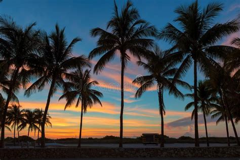 Miami Beach Florida Colorful Summer Sunrise Or Sunset With Palm Trees