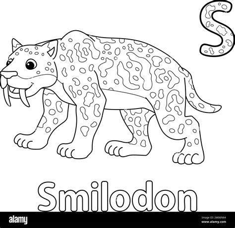 Smilodon Animal Alphabet Abc Isolated Coloring S Stock Vector Image