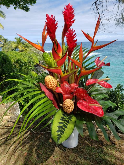 Premium Tropical Mix Large Hana Tropicals Buy Tropical Flowers