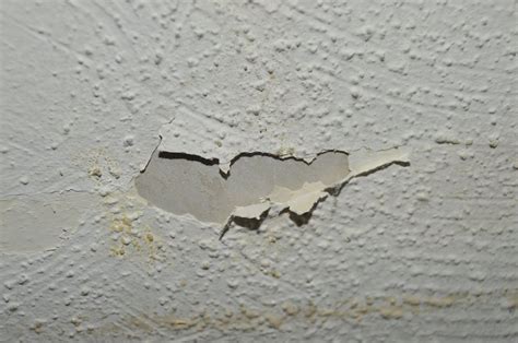 Asbestos ceilings can contain the three common asbestos types which include chysotile (white asbestos), amosite (brown asbestos) and crocidolite when sampling the ceiling asbestos fibres will fall within your breathing zone posing a risk. Textured ceiling, best way to make it smooth? | DIYnot Forums