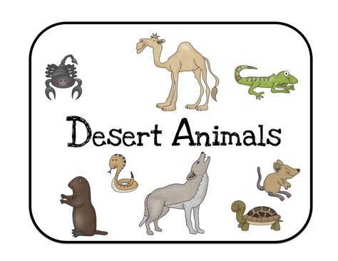 Desert Animals Bulletin Board Cards ~ Preschool Printables