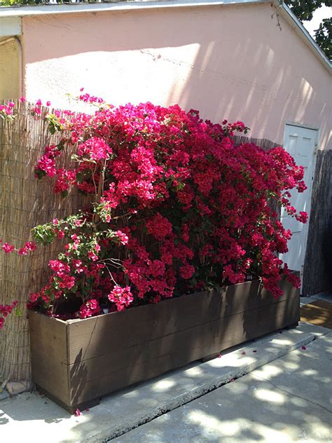That alone makes me smile. 12 Outstanding DIY Planter Box Plans, Designs and Ideas ...