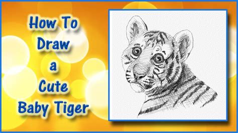Easy To Draw Tiger Cubs Peepsburgh