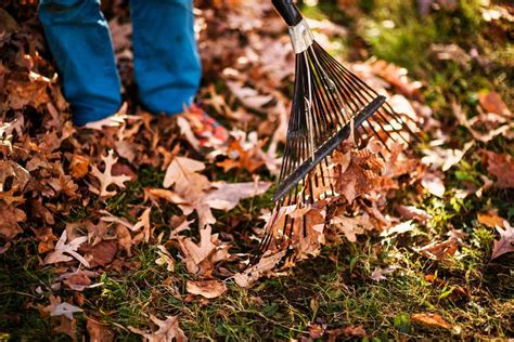Does Raking Leaves Make You A Bad Person Southern Living