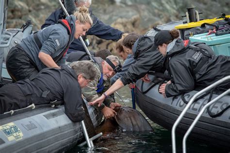Vancouver Aquariums Marine Veterinarians Star In New Docu Series News