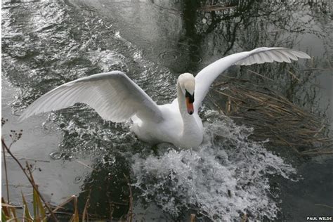 Bbc Wildlife In Spring Herefordshire And Worcestershire